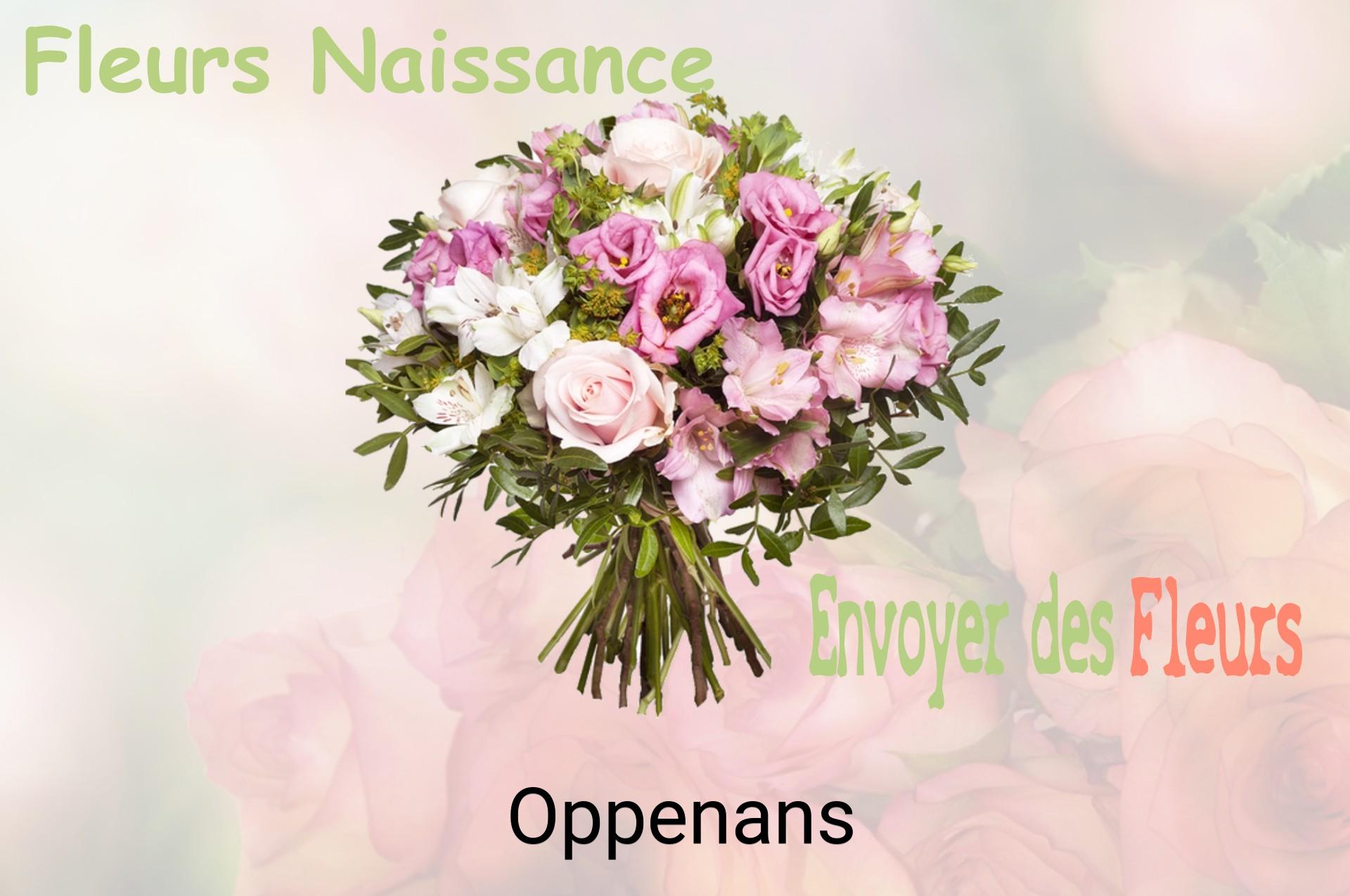 Bouquet de fleurs de naissance livré à Oppenans